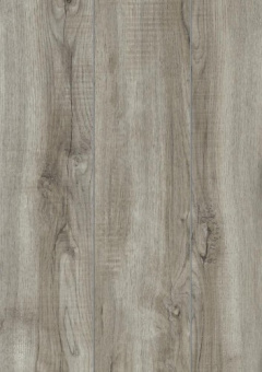 D3662 Дуб Монтмело Серебряный