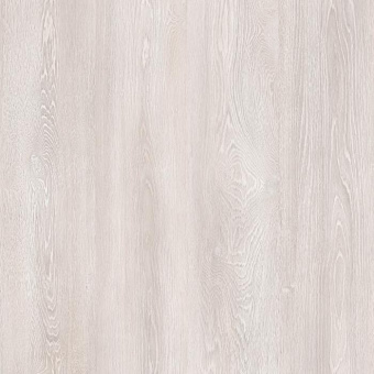 SF41 Дуб Остин