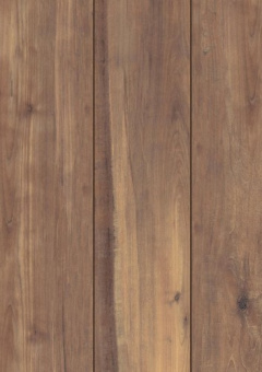 D80102 Харизма