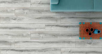 723 Дуб Касадор