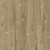 Дуб Амьен LF103-12