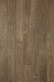 CXC153-2 Дуб Крем