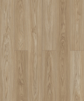 D50587 Дуб Майлен