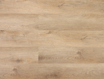 Дуб Бремен ZH-82021-7
