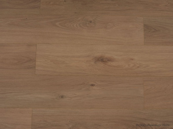 818 Дуб Медовый