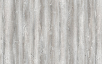 NC71 Дуб Экзо