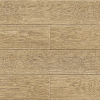 50817 Дуб Виейра