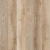 Дуб Светлый ZH-81110-8