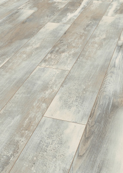 4754  Дуб Хелла