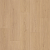 CRAFT OLBANY 2 CRAFT OLBANY 2