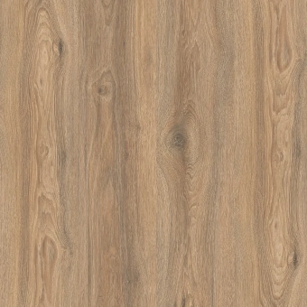  IMU 8466  Дуб Скалистый