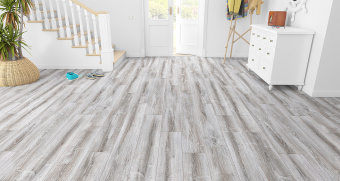 BLA005 Сосна Асахи