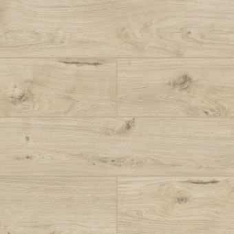 50747 Дуб Бирта