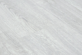 91724-12 Дуб Северный