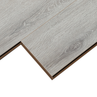 16143 Дуб Президент