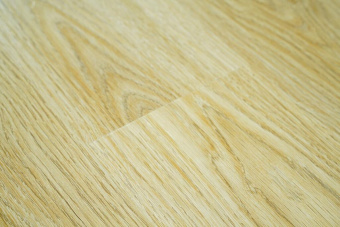 3055 Дуб Элегант