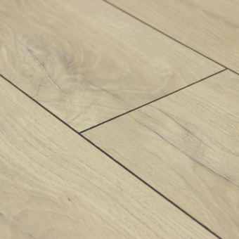 Дуб Винзер D3545