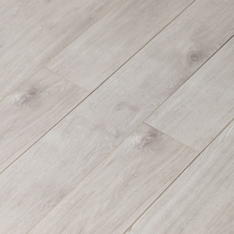 16149 Дуб Соломон