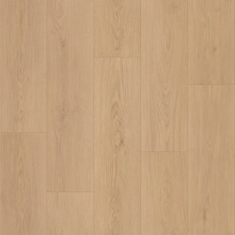 CRAFT OLBANY 2