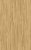 D40792 Дуб Тахо