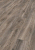 4796 Дуб горный Титан