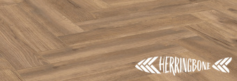 D 4764 TREVISO OAK