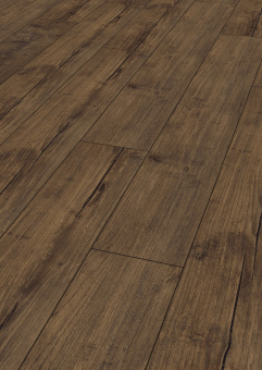 4170 Тик Ностальгия