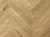 LF304-09 Дуб Хайнан