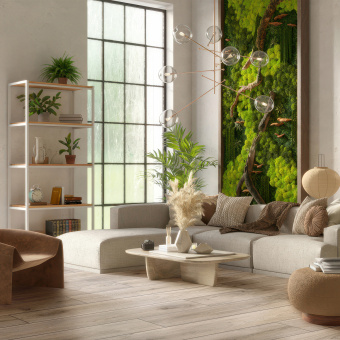 50867 Дуб Лаудер