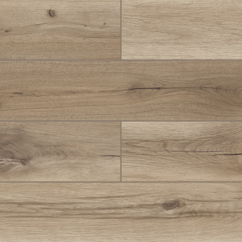 50787 Дуб Олссон