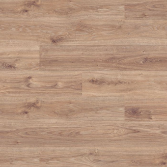 8642 Дуб Каньон белый