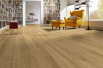 D40792 Дуб Тахо