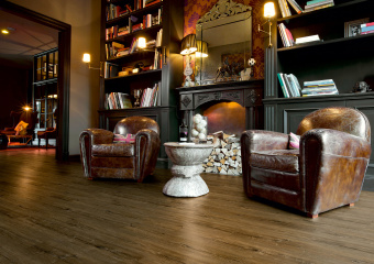 2079 Дуб Миллениум