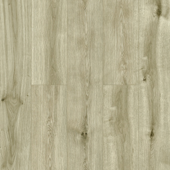 Дуб Петербург LF103-04