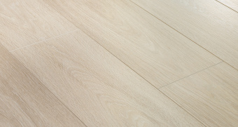 BLA002 Дуб горный светлый