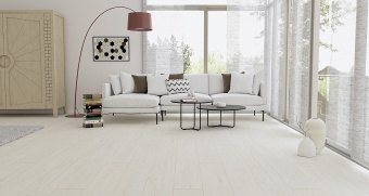 BLA003 Дуб северный