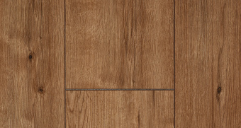 FP1104 Дуб Кенигсбер