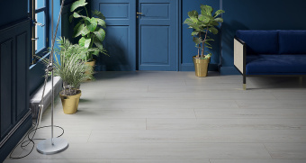 FP574 Дуб Санти