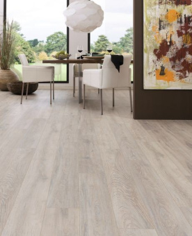 5543 Дуб Колорадо