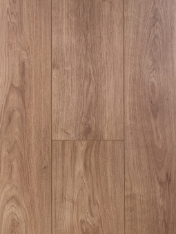 3382 Вельвичия