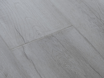 2416 Дуб Дымчатый