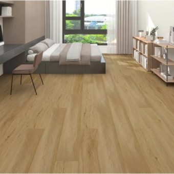 OSPC20263 Дуб Солнечный