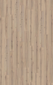 80032 Дуб Аризона бежевый