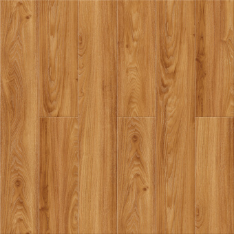 Дуб Верона ZH-81125-5