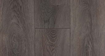 731 Дуб Кейптаун