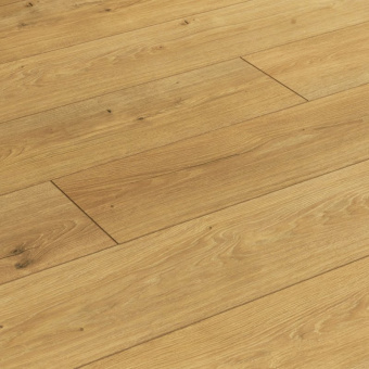 ID12 Дуб Лонч