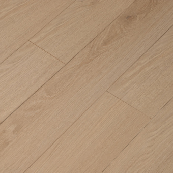 16144 Дуб Лансеро