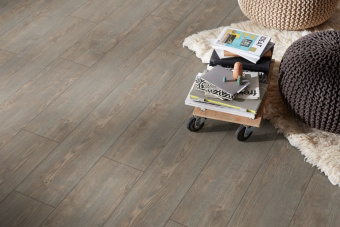 D40532 Дуб Рубин платиновый