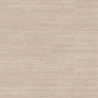 5529 Дуб Орегон